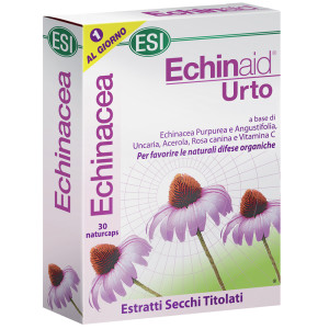 echinaid-urto-internet